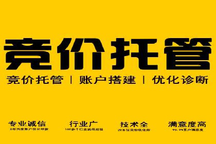 案例解读：SEM数据分析与应用